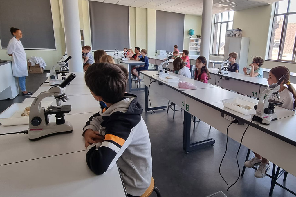 Immersion des CM1 et CM2 au collège